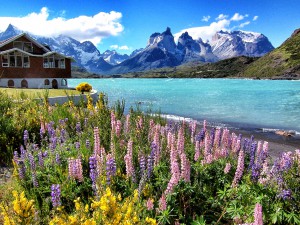 Torres_del_paine_turnagain