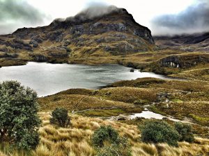 Cajas_Nationalpark_ecuador_turnagain