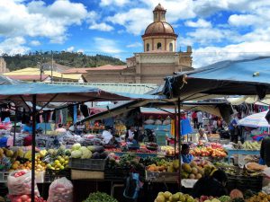 Ecuador_turnagain_Market