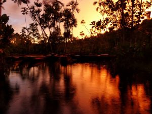 Sundowner_Sacha_Lodge_ecuador_turnagain