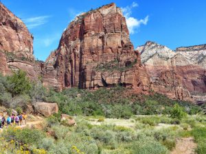 virgin_river_zion_nationalpark